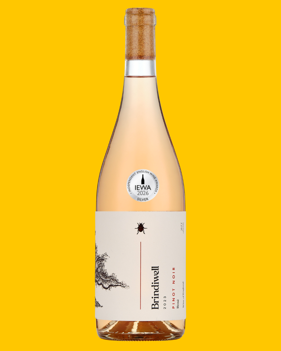 Brindiwell 2023 Pinot Noir Rosé